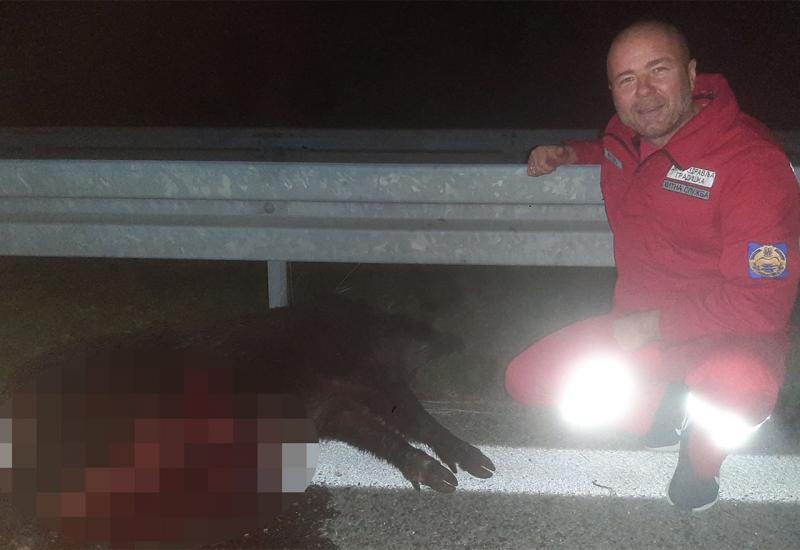 Krdo divljih svinja 'izletjelo' na cestu, ozlijeđene dvije osobe 